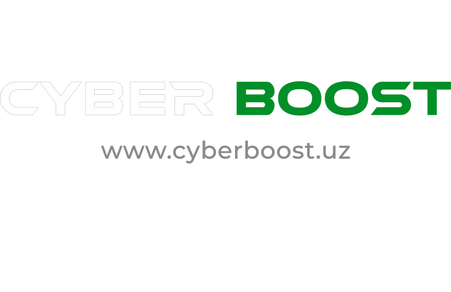 Cyber Boost